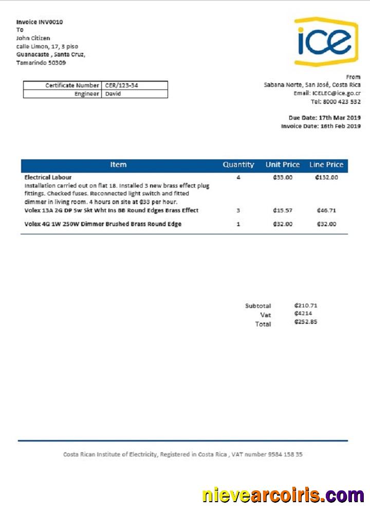 Costa Rica Costa Rican Institute of Electricity utility bill